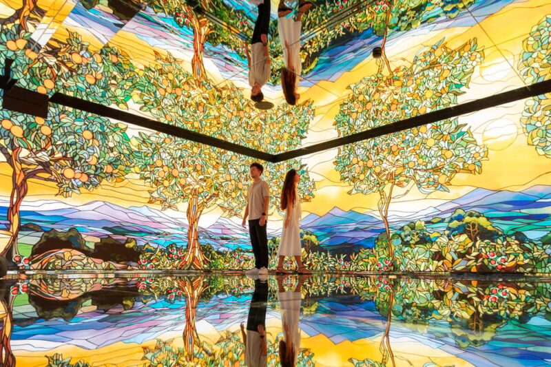 Barcelona: White Rabbit Catalonias Top Immersive Experience - Booking and Accessibility