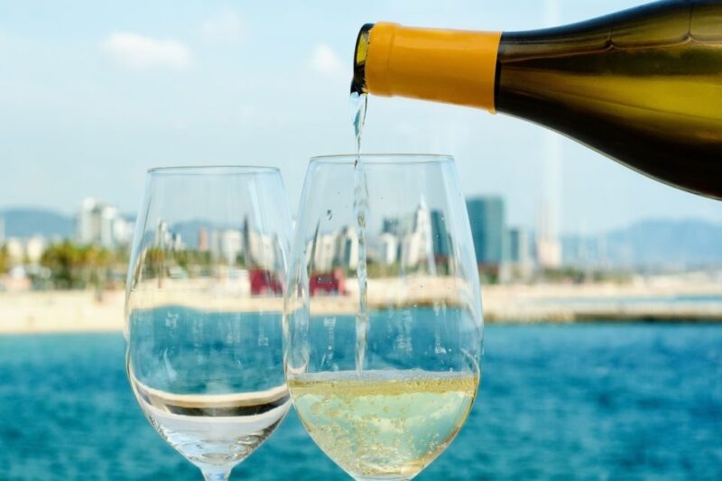 Barcelona Wine Tasting Private Tour With Wine Expert - Duration and Group Type