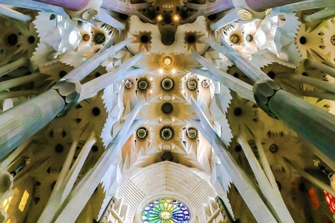 Barcelona With Private Guide : Gaudi & Sagrada Familia Skip the Line Entrance - Reviews and Feedback