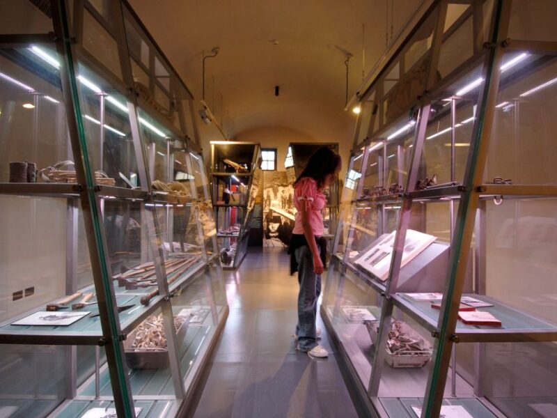 Bard: Fortress Exhibitions and Museums Entrance - Scenic Walks and Panoramic Lifts