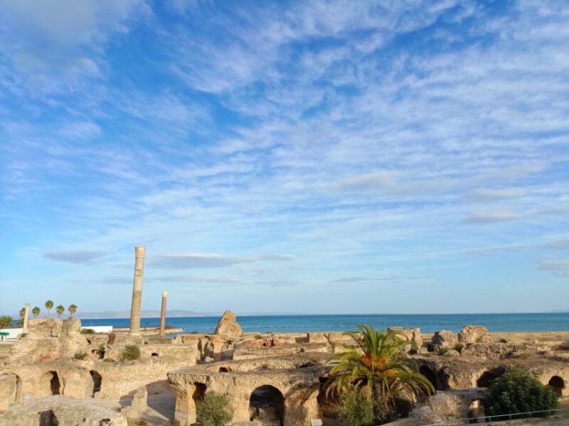 Bardo Museum, Sidi Bou Said, Medina, Carthage - Highlights of the Experience