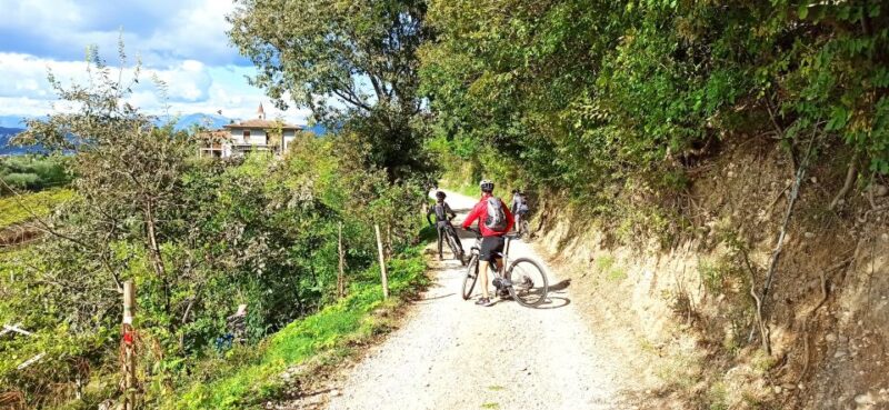 Bardolino: E-Bike Tour and Wine Tasting on the Hills - Key Points