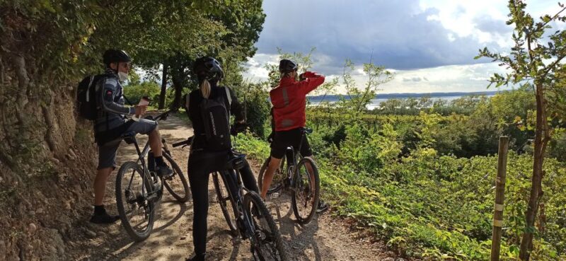 Bardolino: E-Bike Tour and Wine Tasting on the Hills - Experience Highlights