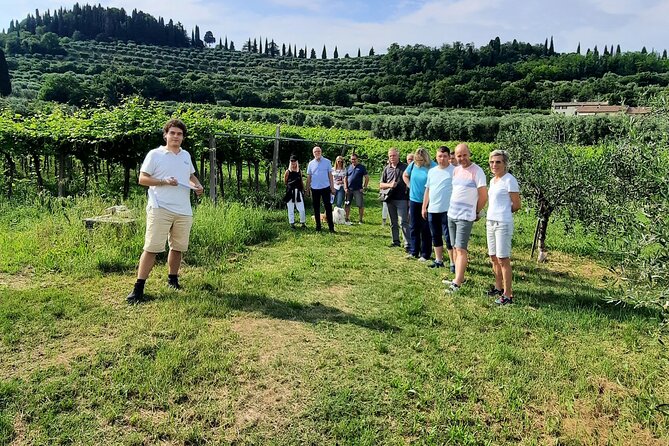 Bardolino: Vineyard Tour, Wine, Oil and Food Tasting - Positive Traveler Feedback