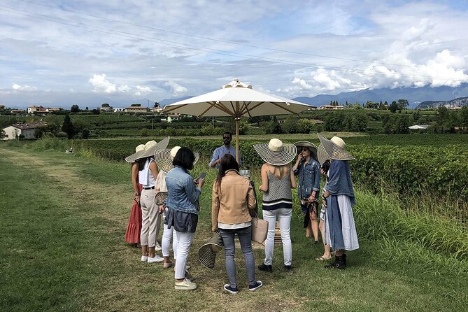 Bardolino Wine Experience - What Youll Taste