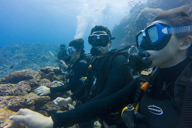 Barefoot Kuata Day Cruise From Denarau - What to Expect During the Cruise