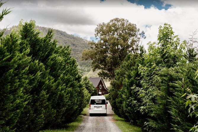 Barefoot Luxury Mount Tamborine Winery Tour From Brisbane - Itinerary and Inclusions