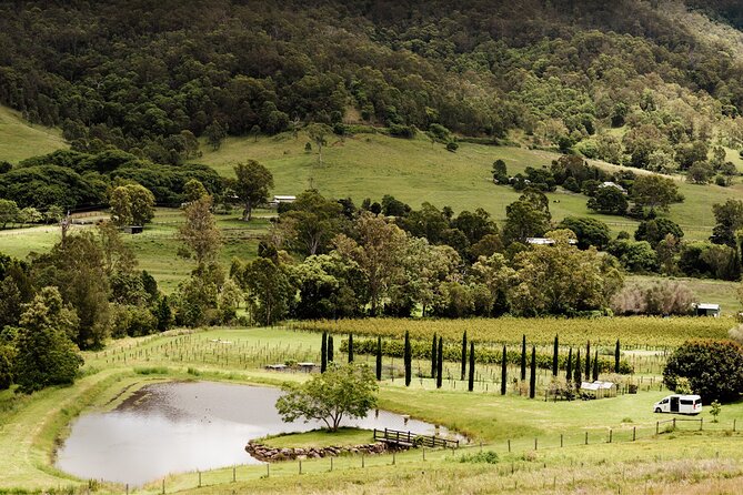 Barefoot Luxury Mount Tamborine Winery Tour From Brisbane - Highlights and Recommendations