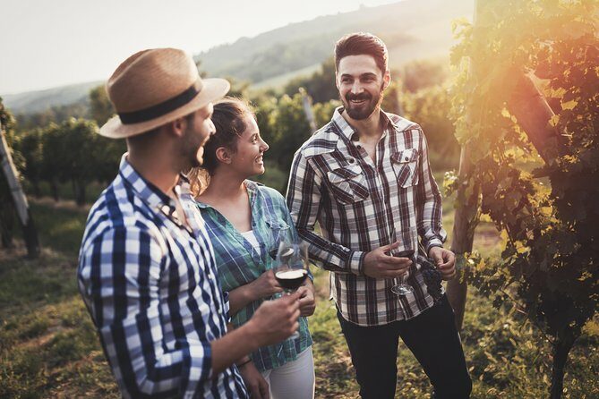 Barefoot Luxury Mount Tamborine Winery Tour from Gold Coast - Practical Details & Considerations