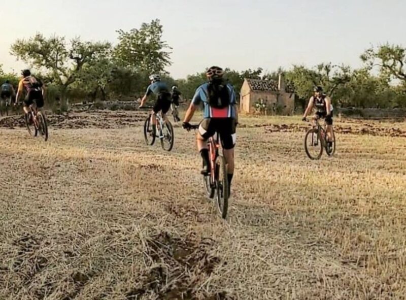 Bari: Ebike Touring for Foodies and Nature Lovers - Activity and Duration