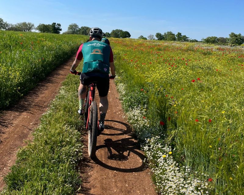 Bari: Ebike Touring for Foodies and Nature Lovers - Experience Highlights