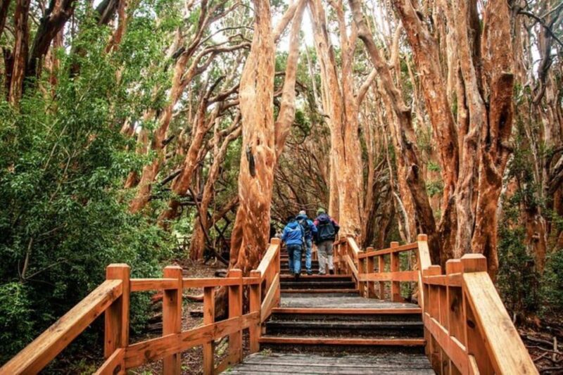 Bariloche: Arrayanes Forest and Victoria Island Tour - Victoria Island Discoveries