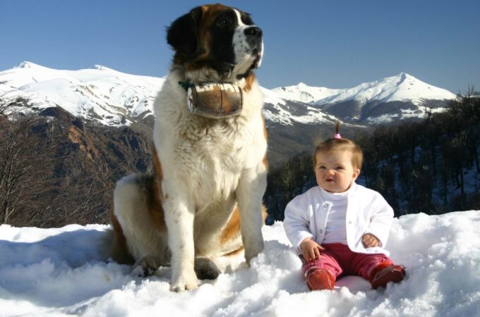 Bariloche: Cerro Otto Cable Car - Customer Feedback