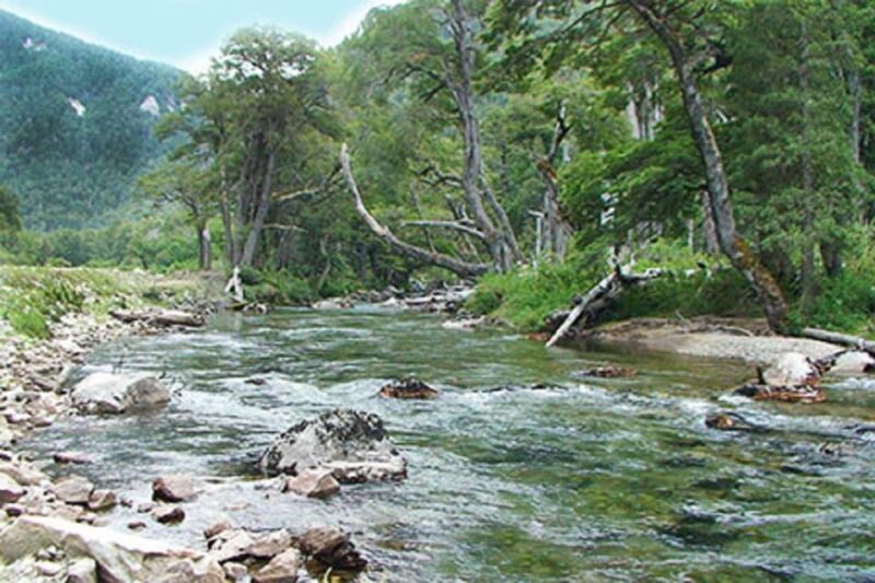 Bariloche San Martin De Los Andes and Seven Lakes Road Tour - Booking Information