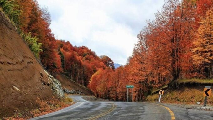 Bariloche: San Martín De Los Andes and the Seven Lakes Route - Activity Guidelines