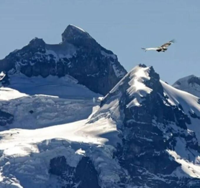 Bariloche: Tour to Cerro Tronador and Ventisquero Negro Glacier - Pickup and Transfers