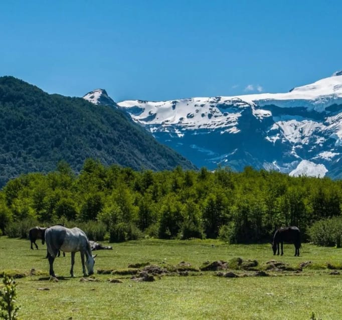Bariloche: Tour to Cerro Tronador and Ventisquero Negro Glacier - Key Points