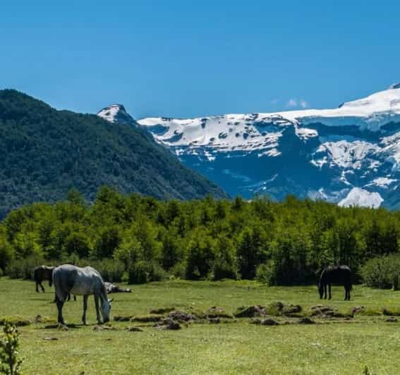 Bariloche: Tour to Cerro Tronador and Ventisquero Negro Glacier - Itinerary and Experience