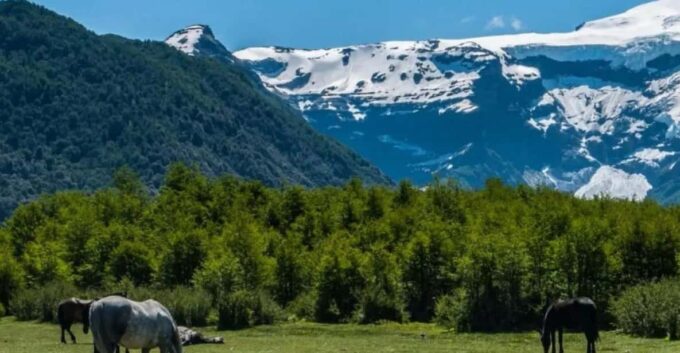 Bariloche: Tour to Cerro Tronador and Ventisquero Negro Glacier - Cerro Tronador and Its Peaks