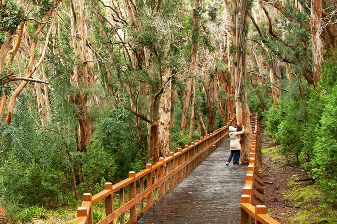 Bariloche Victoria Island and Arrayanes Forest - Tour Details