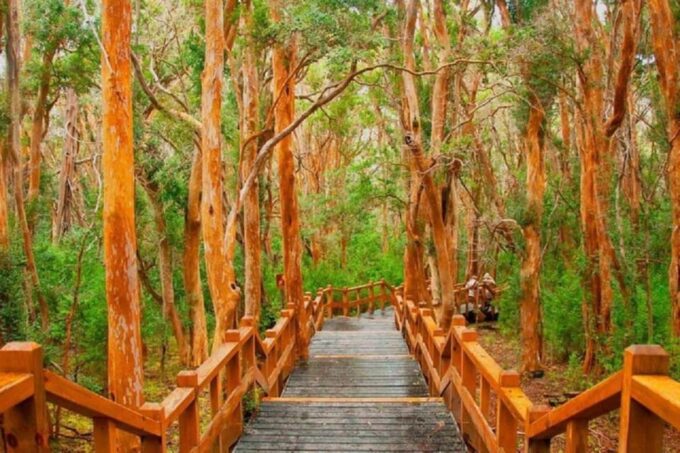 Bariloche Victoria Island and Arrayanes Forest - Frequently Asked Questions