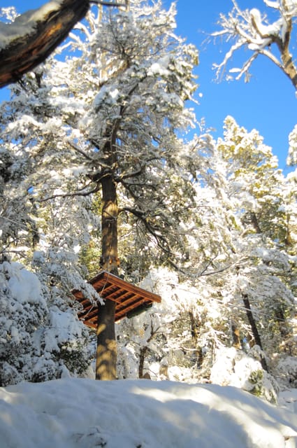 Bariloche: Zip Line Canopy Adventure With 4x4 Ride - Participant Requirements