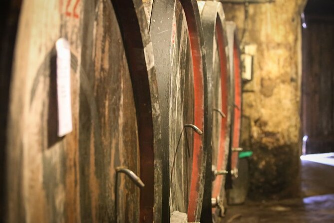 Barolo & Barbaresco Wine Tour With a Winemaker - Itinerary Details