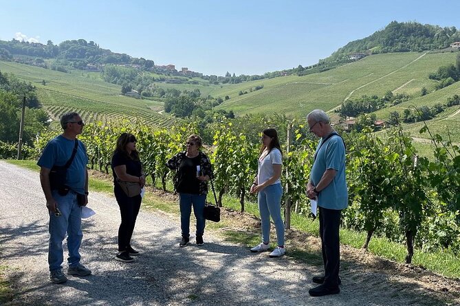 Barolo & Barbaresco Wine Tour With a Winemaker - Lunch in Langhe Hills