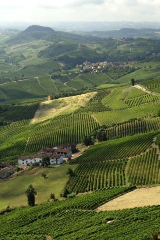 Barolo: Guided Scenic E-Bike Tour With Wine Tasting - Exploring Barolo Region