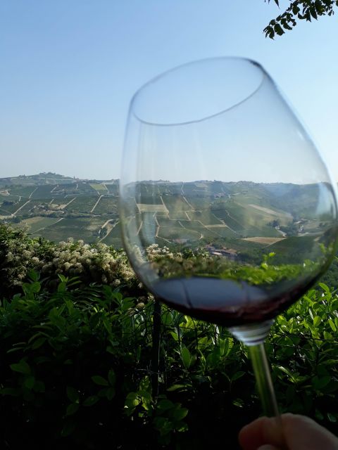 Barolo Langhe Wine Tour - Key Points