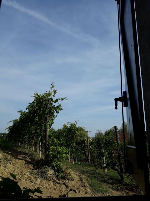Barolo Langhe Wine Tour - Tour Pricing