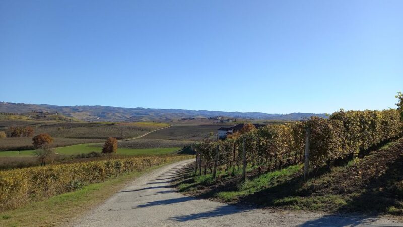 Barolo Langhe Wine Tour - Itinerary and Activities