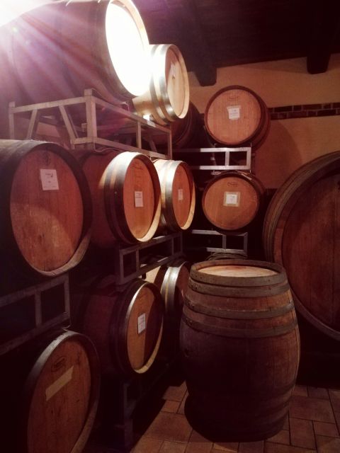 Barolo Langhe Wine Tour - Meeting Point