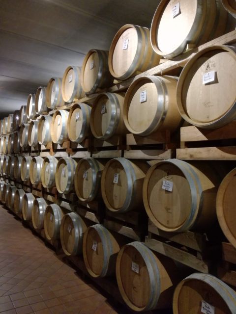 Barolo Langhe Wine Tour - Customer Feedback