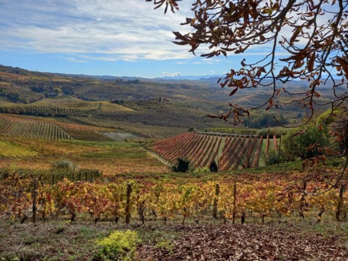 Barolo Langhe Wine Tour - Booking and Cancellation