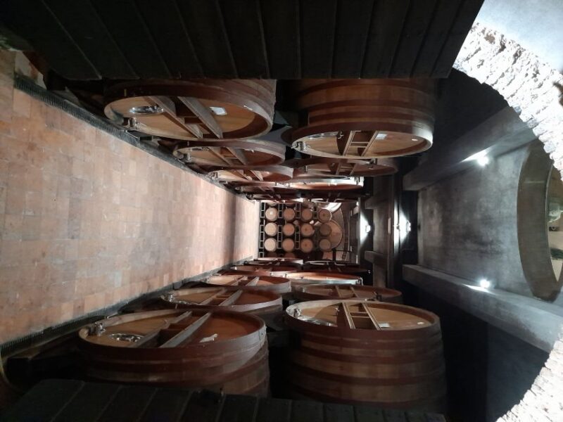 Barolo: Truffle Hunting and Wine Tasting - Pricing and Booking