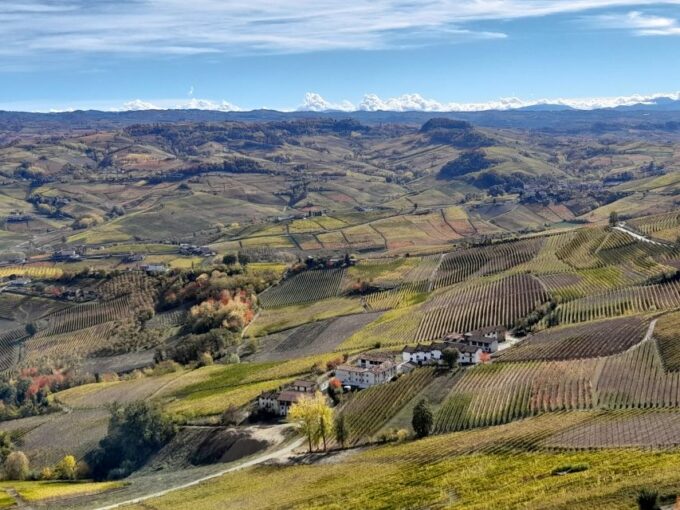 Barolo: Truffle Hunting and Wine Tasting - Booking and Cancellation Policy