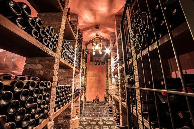 Barolo Wine and Food Tasting at Piedmont Region Winery - UNESCO World Heritage Site Experience