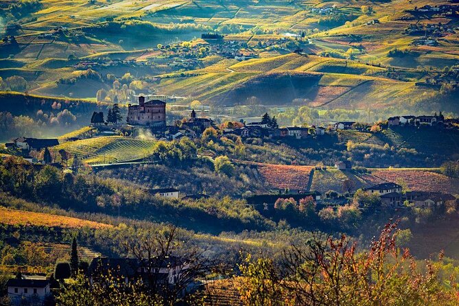 Barolo Wine and Food Tasting at Piedmont Region Winery - Vineyards and Cellar Exploration