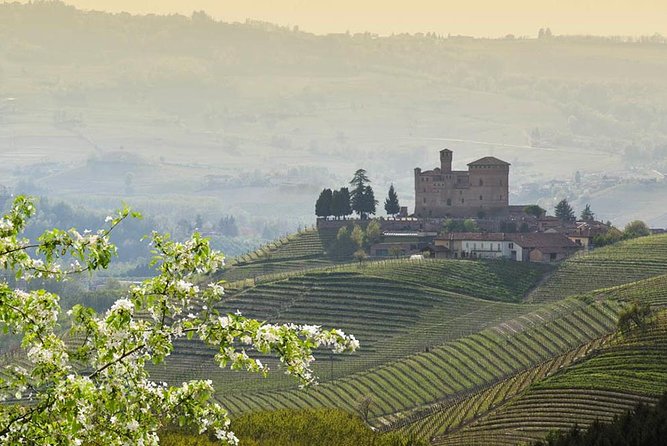 Barolo Wine and Food Tasting at Piedmont Region Winery - Inclusions: Tasting, Liquors, and Snacks