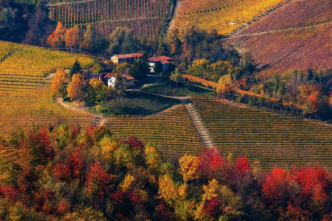 Barolo Wine Tasting, Alba, UNESCO Castle: Small Group From Milan - Tour Reviews