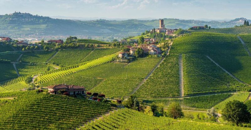 Barolo Winery Private Visit With Gourmet Lunch - Lunch Information