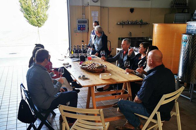 Barolo&Barbaresco Wine Tour With a Local Winemaker - Traveler Feedback and Reviews