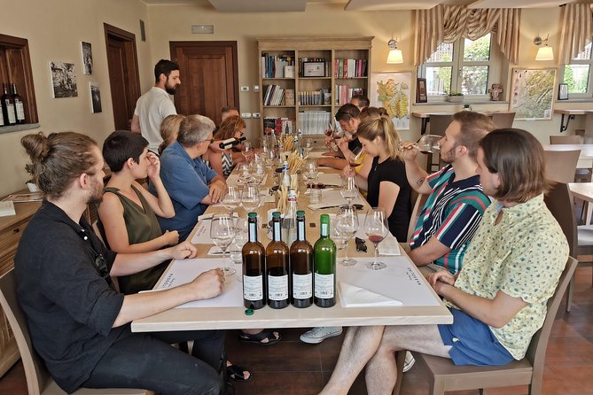 Barolo&Barbaresco Wine Tour With a Local Winemaker - Accessibility and Considerations