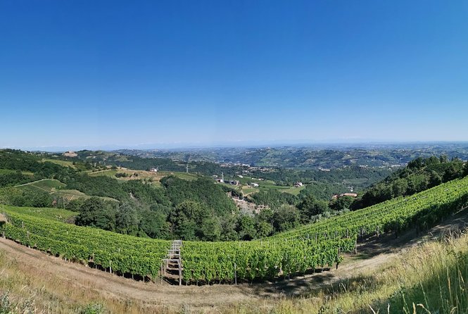 Barolo&Barbaresco Wine Tour With a Local Winemaker - Booking and Confirmation Details