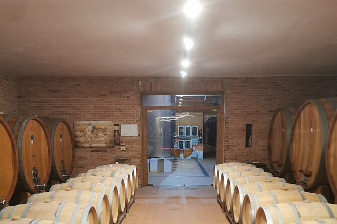 Barolo&Barbaresco Wine Tour With a Local Winemaker From Asti - Since You Asked