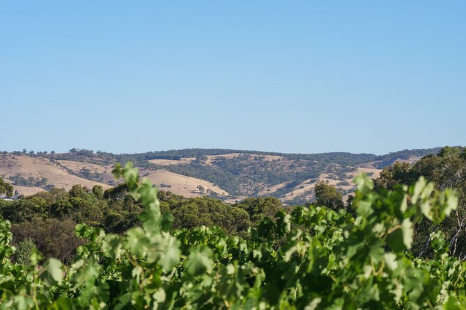 Barossa Bespoke Tours - a Full Day Private Tour to the Barossa Valley - Pickup and Cancellation Policy