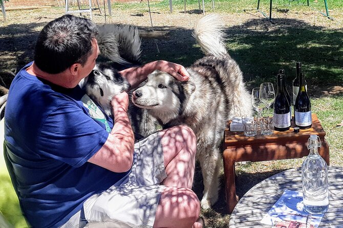 Barossa Private Wine Tour - Pickup and Scheduling