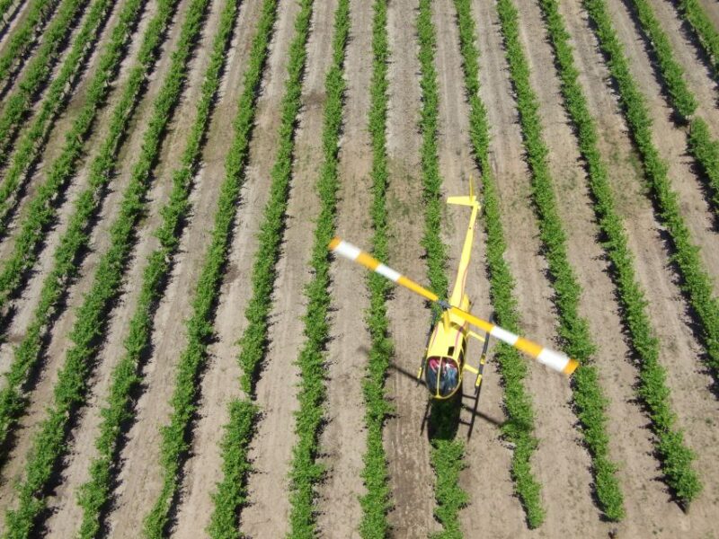Barossa Valley: 10-Minute Scenic Helicopter Flight - Key Points