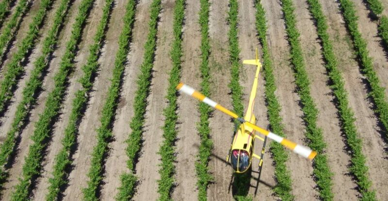 Barossa Valley: 10-Minute Scenic Helicopter Flight - Highlights